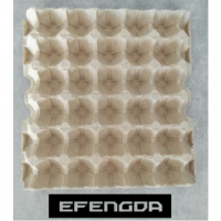 wholesale Biodegradable Paper Pulp Eggs Tray