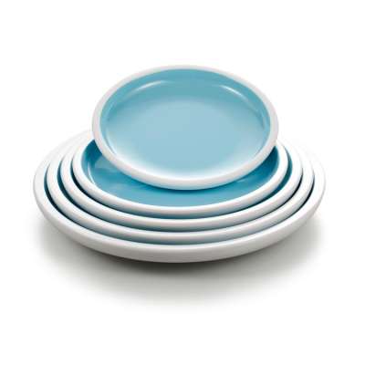 New design blue and white round restaurant plates